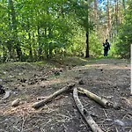 Letniskowe Miedzy Jeziorami W Lipnicy * Lipnica (Slupca)