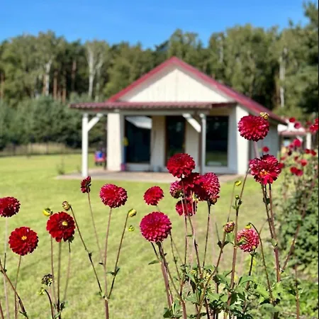 Letniskowe Miedzy Jeziorami W Lipnicy Holiday home *