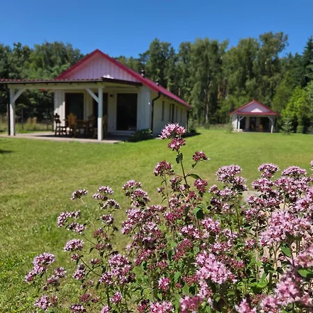 Letniskowe Miedzy Jeziorami W Lipnicy Lipnica (Slupca)