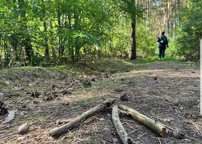 Letniskowe Miedzy Jeziorami W Lipnicy * Lipnica (Slupca)