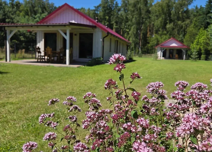 Letniskowe Miedzy Jeziorami W Lipnicy Lipnica (Slupca)